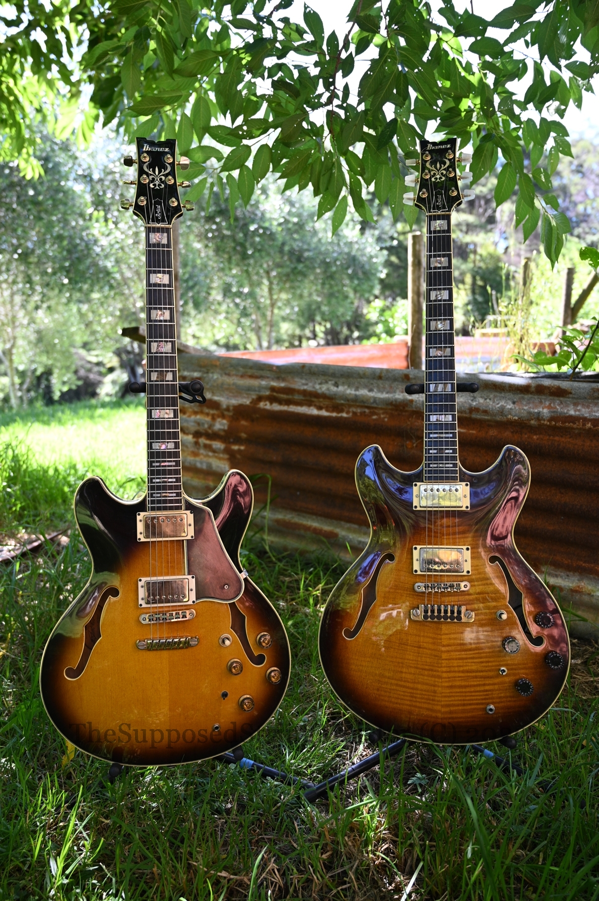 Ibanez AS200 Siblings - JAY_1908.JPG