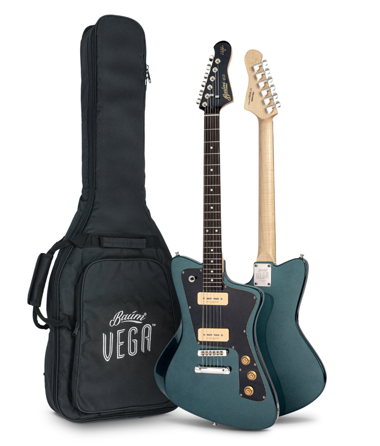 Gigbag-billede-Wingman-VEGA-768x902.png